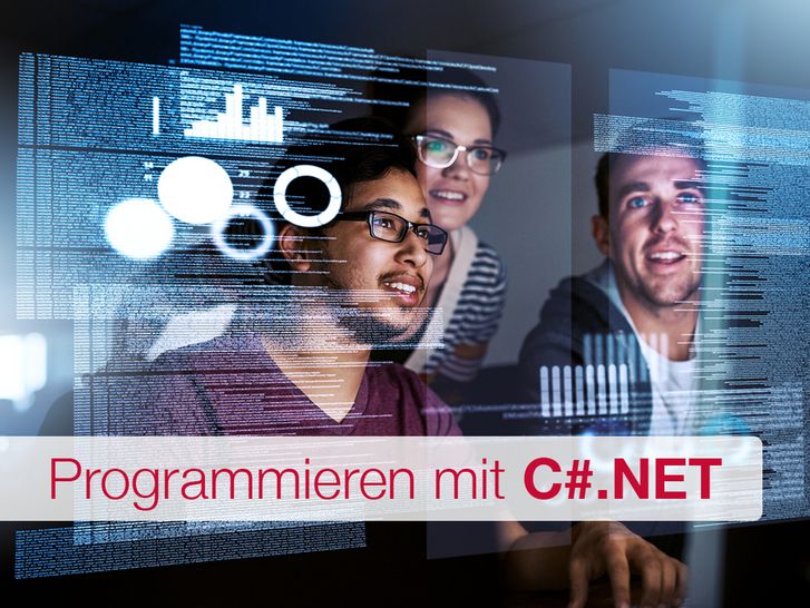 Programmieren mit C#.NET