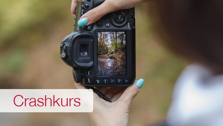 Smartphone-Fotografie kompakt: Tipps und Tricks für beeindruckende Bilder