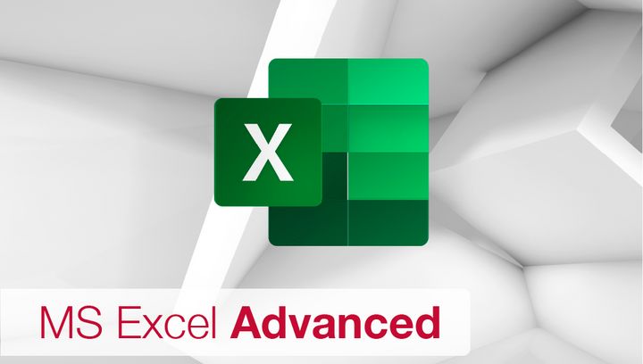 MS Excel - Advanced