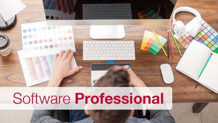 Grafikdesign: Software Professional
